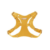 HKM-3811133 Stylish Leather Chest Strap Harness for Dogs in Various Colors and Sizes