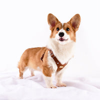 HKM-3811133 Stylish Leather Chest Strap Harness for Dogs in Various Colors and Sizes