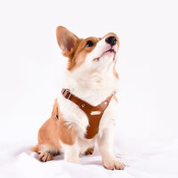 HKM-3811133 Stylish Leather Chest Strap Harness for Dogs in Various Colors and Sizes
