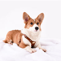 HKM-3811133 Stylish Leather Chest Strap Harness for Dogs in Various Colors and Sizes