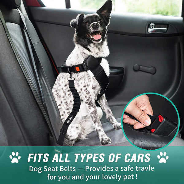 HKM-3817405 Adjustable Pet Seat Belt with Hand Holding Rope for Car Travel