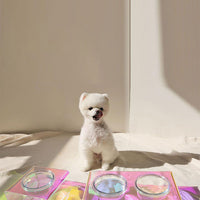 HKM-3817789 Dazzling Acrylic Pet Feeding Bowl for Small Dogs and Cats, Anti-Slip Design, Easy to Clean