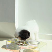HKM-3817789 Dazzling Acrylic Pet Feeding Bowl for Small Dogs and Cats, Anti-Slip Design, Easy to Clean