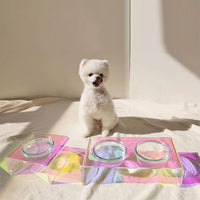 HKM-3817789 Dazzling Acrylic Pet Feeding Bowl for Small Dogs and Cats, Anti-Slip Design, Easy to Clean