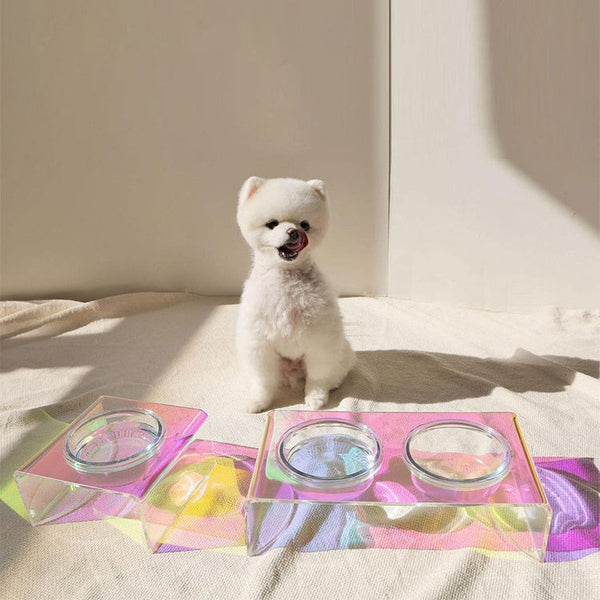 HKM-3817789 Dazzling Acrylic Pet Feeding Bowl for Small Dogs and Cats, Anti-Slip Design, Easy to Clean