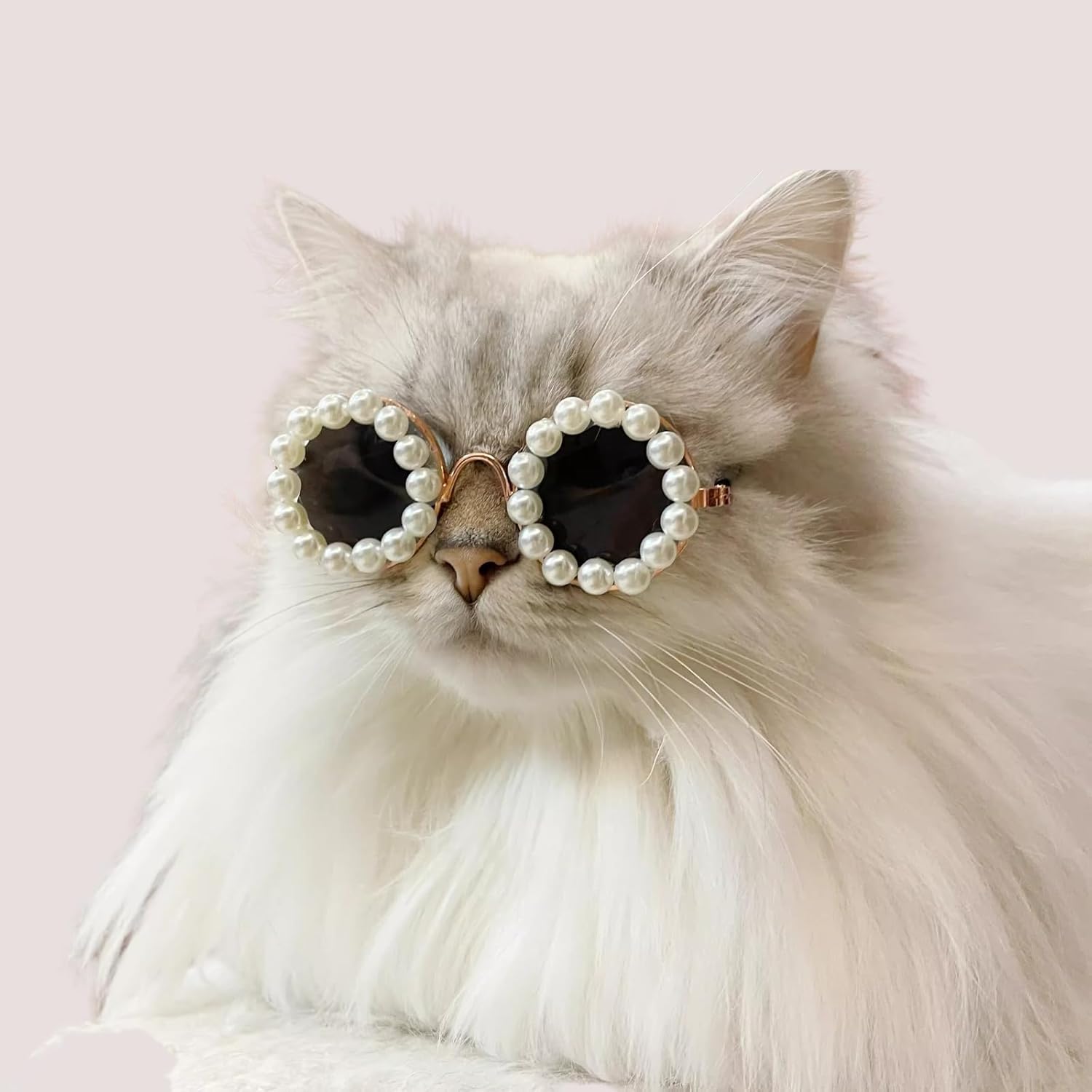 HKM-3820861 Pearl-Rimmed Round Sunglasses for Cats and Dogs - Stylish Costume Accessory for Parties and Celebrations