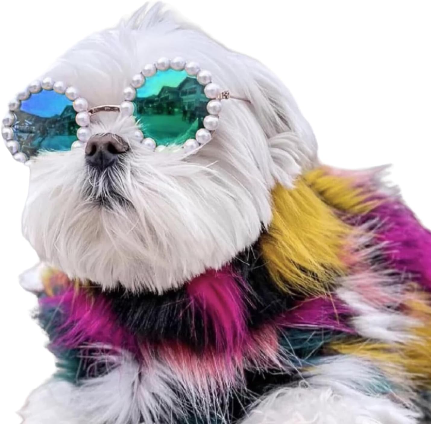 HKM-3820861 Pearl-Rimmed Round Sunglasses for Cats and Dogs - Stylish Costume Accessory for Parties and Celebrations