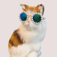 HKM-3820861 Pearl-Rimmed Round Sunglasses for Cats and Dogs - Stylish Costume Accessory for Parties and Celebrations