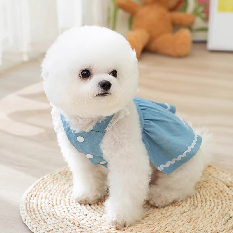 HKM-3822141 Strawberry Denim Skirt for Dogs - Traction Style, Multiple Sizes Available