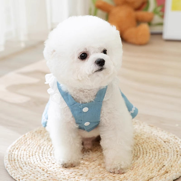 HKM-3822141 Strawberry Denim Skirt for Dogs - Traction Style, Multiple Sizes Available