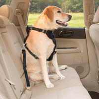 HKM-3823165 Adjustable Retractable Safety Belt Pet Leash - Elastic Polyester Design for Secure Pet Travel