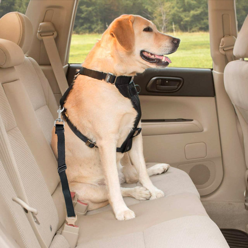 HKM-3823165 Adjustable Retractable Safety Belt Pet Leash - Elastic Polyester Design for Secure Pet Travel