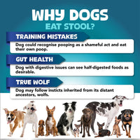 HKM-3829181 No Poo Chews for Dogs - Digestive and Gut Health Supplement, Soft Chews to Discourage Stool Eating, 180 Count