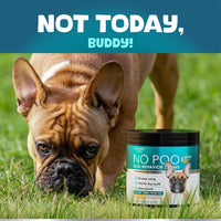 HKM-3829181 No Poo Chews for Dogs - Digestive and Gut Health Supplement, Soft Chews to Discourage Stool Eating, 180 Count