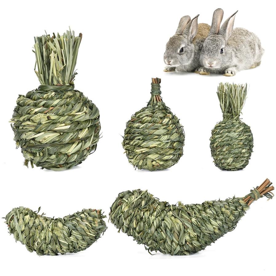 HKM-382995 Timothy Grass Pet Snack Toys for Rabbits and Guinea Pigs - Assorted Fruit Shapes