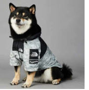 HKM-3836477 Light Green Windproof and Rainproof Large Dog Shell Jacket - Sizes S to 5XL