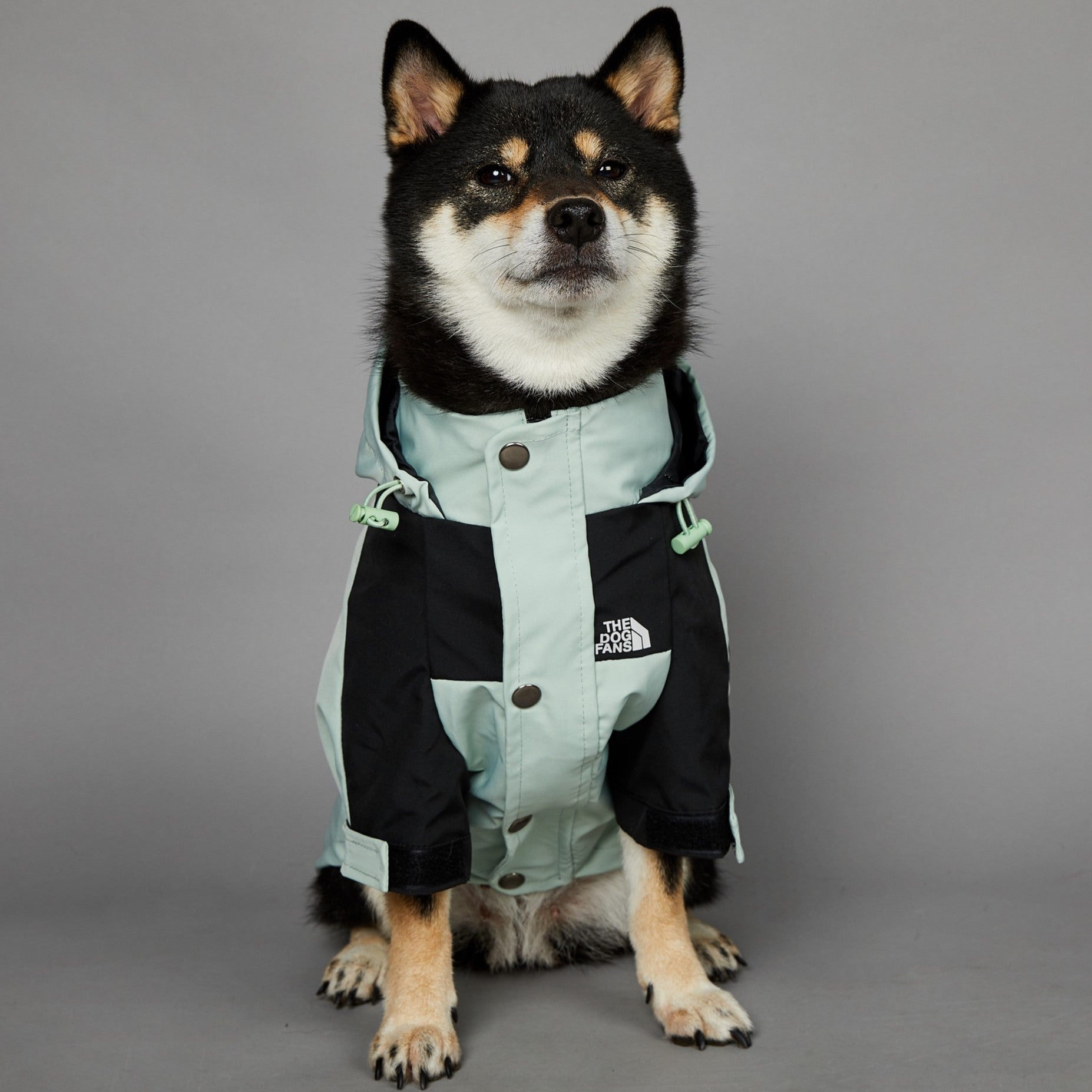 HKM-3836477 Light Green Windproof and Rainproof Large Dog Shell Jacket - Sizes S to 5XL
