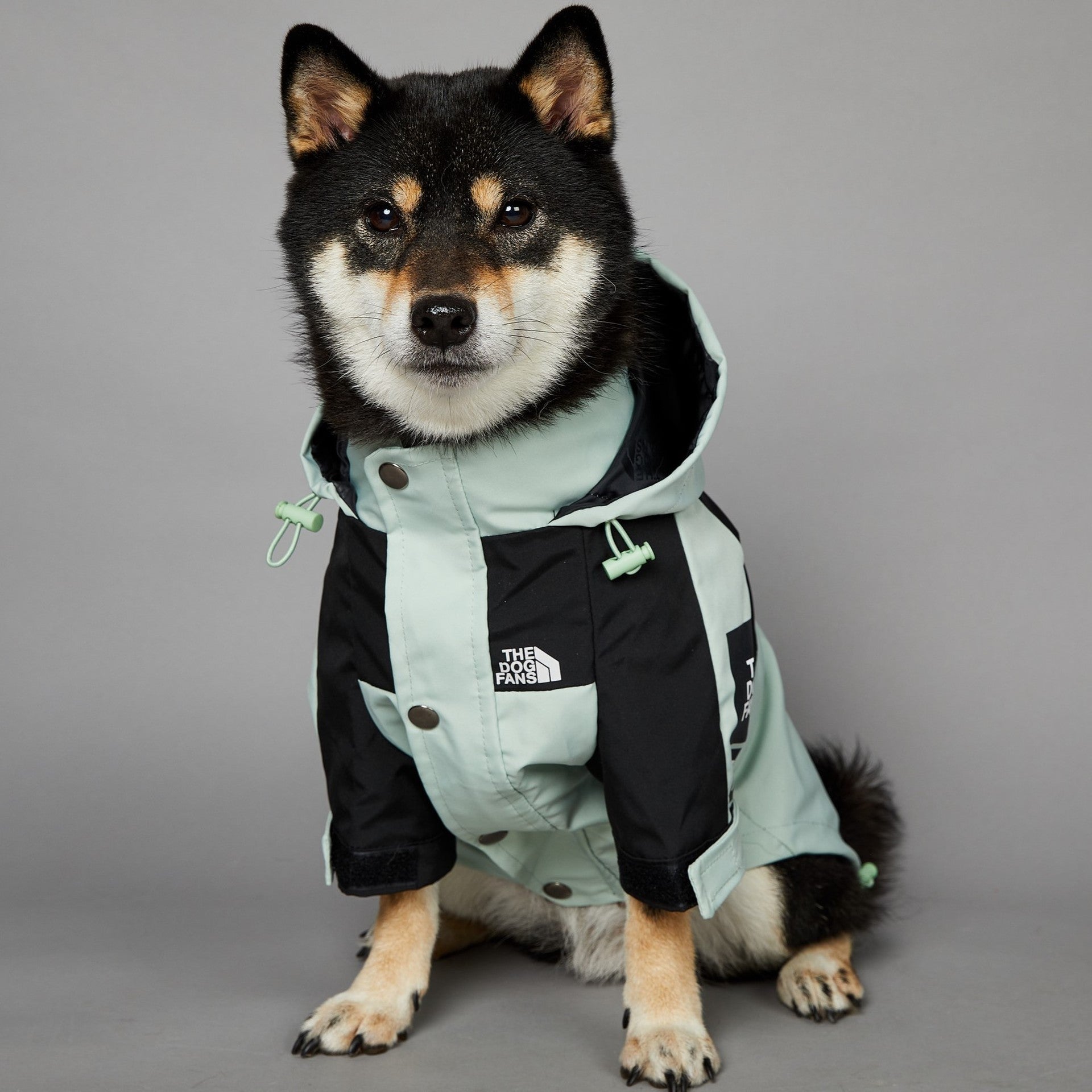 HKM-3836477 Light Green Windproof and Rainproof Large Dog Shell Jacket - Sizes S to 5XL