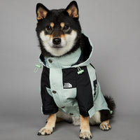 HKM-3836477 Light Green Windproof and Rainproof Large Dog Shell Jacket - Sizes S to 5XL