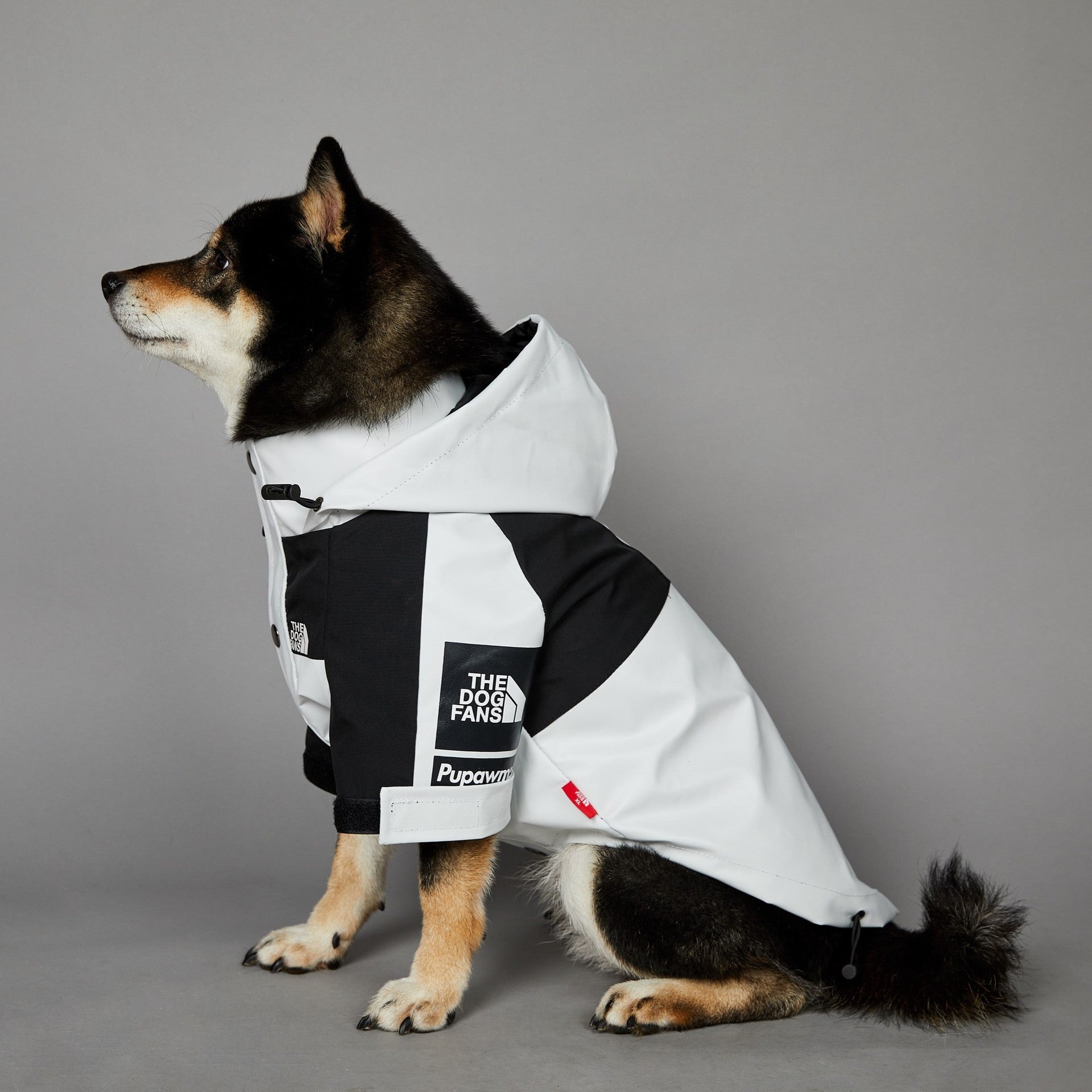 HKM-3836477 Light Green Windproof and Rainproof Large Dog Shell Jacket - Sizes S to 5XL