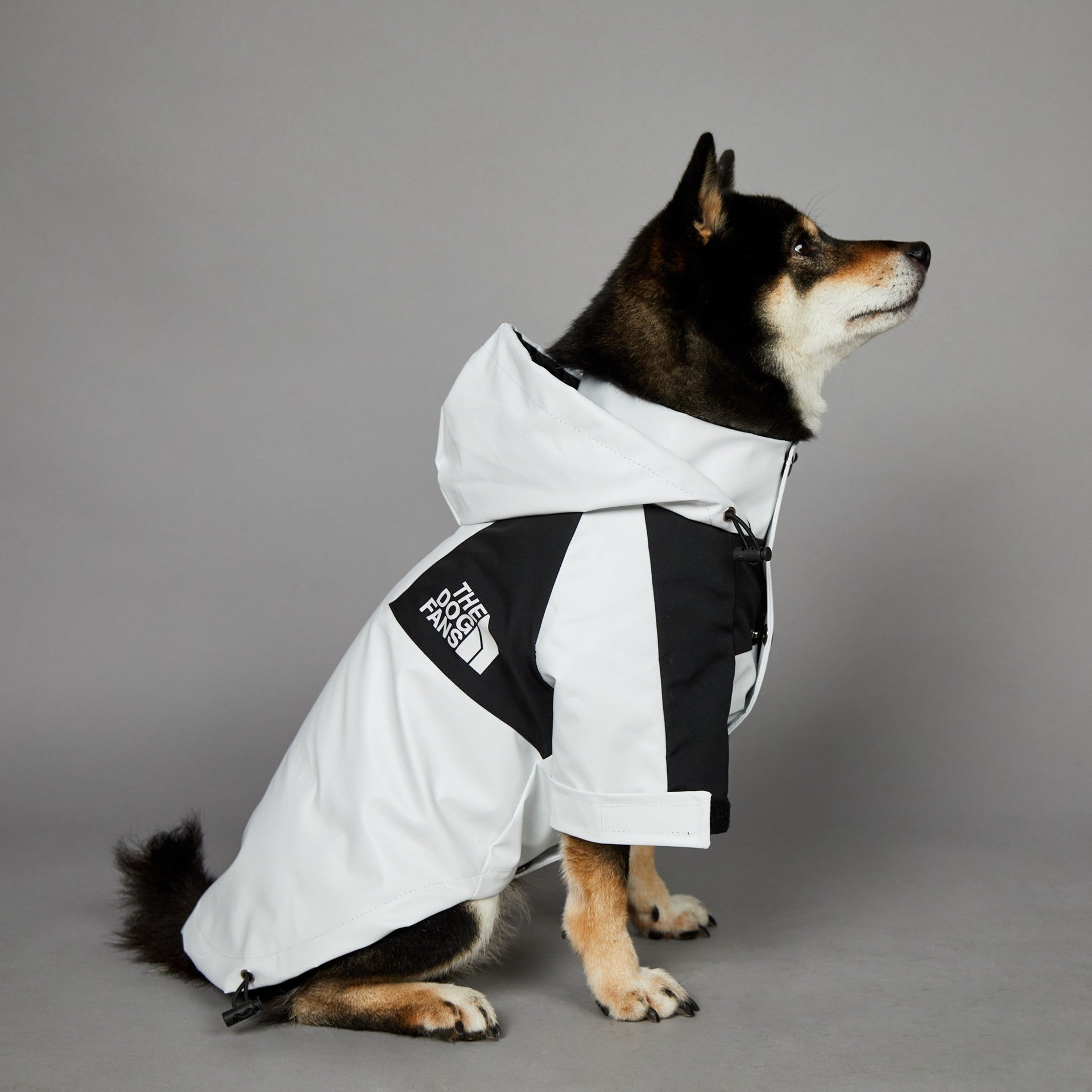 HKM-3836477 Light Green Windproof and Rainproof Large Dog Shell Jacket - Sizes S to 5XL