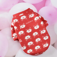 HKM-3839421 Cozy Pink Velvet Dog & Cat Hoody for Small Pets