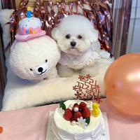 HKM-3842237 Adorable Pink White Cake Hat Plush Toy for Dogs and Cats