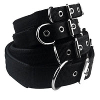 HKM-3842621 Adjustable Nylon Foam Leather Dog Collar with Soft Lining in Multiple Colors