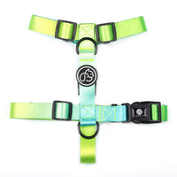 HKM-3843901 Nylon Chest Strap for Small to Medium Dogs - Adjustable and Comfortable Fit