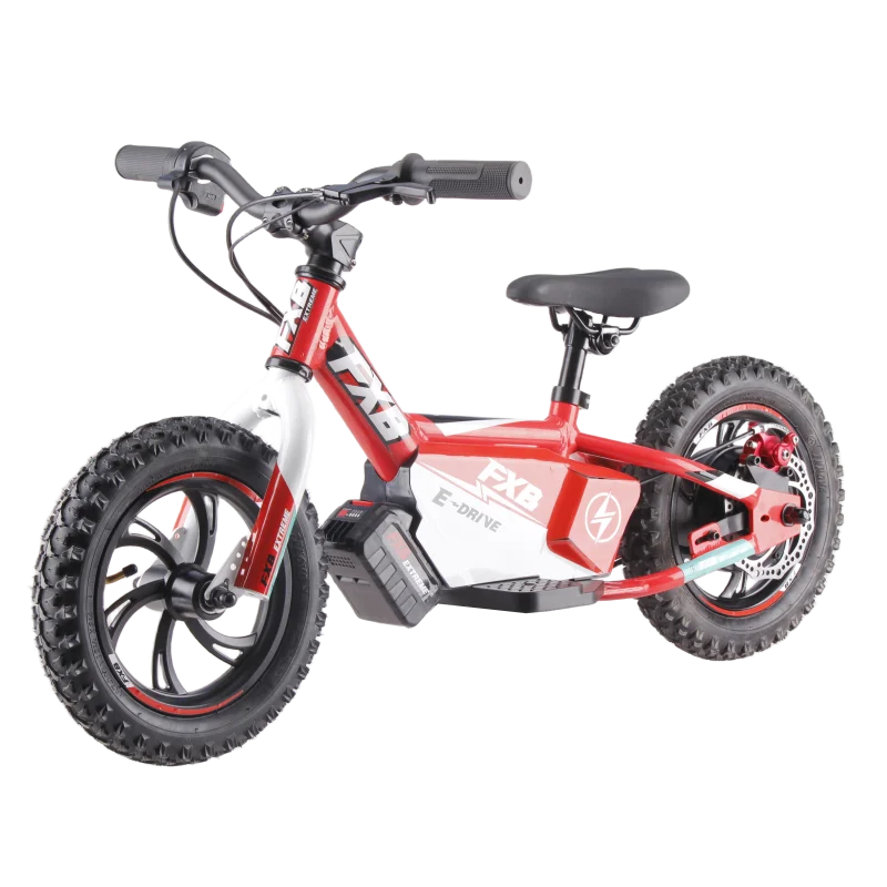 HKM-384531 12-Inch Electric Balance Bike with Brushless Hub Motor, 36V 250W, 2 Speed, Aluminum Alloy Frame, Quick Disconnect Battery, Disc Brakes
