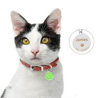 HKM-3846461 Cartoon Pet Collar Pendant in Multiple Colors for All Seasons