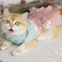 HKM-3848765 Light Green, Pink, and White Pet Skirts for Cats and Dogs ¨C Sizes XS to XL
