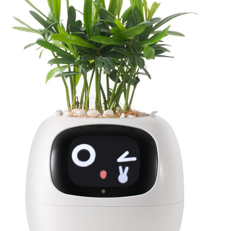 HKM-385299 Smart Plant Care Robot with Automated Watering and Growth Monitoring for Indoor Plants - Interactive Desk Companion