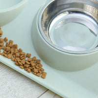 HKM-3856317 Stainless Steel Double Pet Bowl with Anti-Spatter Design - Easy to Clean and Eco-Friendly