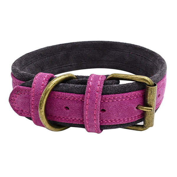 HKM-3863869 Double Contrast Color Nubuck Leather Dog Collar with Brass Fittings - Multiple Sizes Available