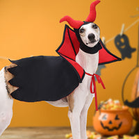 HKM-3866045 Pet Halloween Vampire Cloak and Hat Set in Black, Casual Polyester Outfit