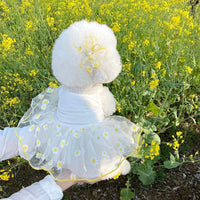HKM-3872189 Summer Yellow Daisy Dog Apparel, Lightweight and Comfortable Sizes XS-XL
