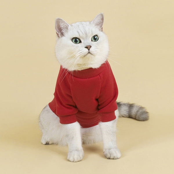 HKM-3872701 Cozy Breathable Velvet Pet Sweater in Various Colors and Sizes