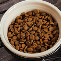 HKM-3883325 Ceramic Dual Purpose Pet Bowl with Iron Frame for Food and Water