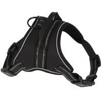 HKM-3888189 Adjustable Pet Harness for Medium to Large Dogs - Black, Orange, Green, with Chest Strap