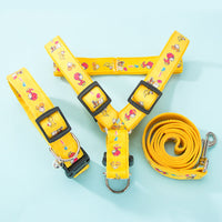 HKM-3888701 Durable Nylon Braid Pet Leash for Small and Medium Dogs and Cats, Various Sizes Available