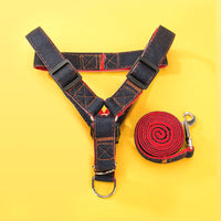 HKM-3888701 Durable Nylon Braid Pet Leash for Small and Medium Dogs and Cats, Various Sizes Available