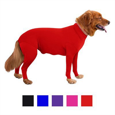 HKM-3893053 Stylish Elastic Dog and Cat Apparel for Autumn and Winter in Multiple Colors and Sizes