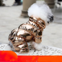 HKM-3893309 Pomeranian Bichon Casual Pet Clothes in Tyrant Gold and Sky Silver