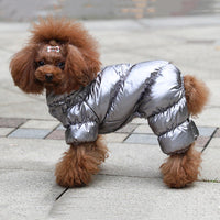 HKM-3893309 Pomeranian Bichon Casual Pet Clothes in Tyrant Gold and Sky Silver