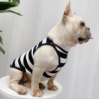 HKM-3894461 Personalized Summer Dog Clothes in Coffee, Black or Yellow Stripes - Cotton Fabric, Multiple Sizes Available