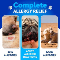 HKM-3894717 Dog Allergy Relief Chews for Itchy Skin and Seasonal Allergies, Fish Oil Formula, 120 Soft Treats for Immune and Skin Health