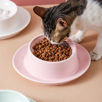 HKM-3896125 Slow Feed Anti-Choking Bowl for Cats and Dogs - Ceramic Pet Food Basin with Neck Protection