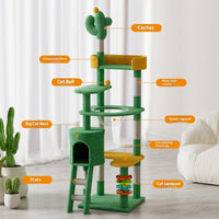 HKM-3897917 Large Pastoral Cactus Cat Climbing Frame in Durable Density Plate