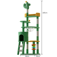HKM-3897917 Large Pastoral Cactus Cat Climbing Frame in Durable Density Plate